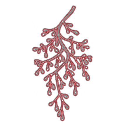 Mistletoe Tree Stencil by Sweet Poppy Stencils *Retired*