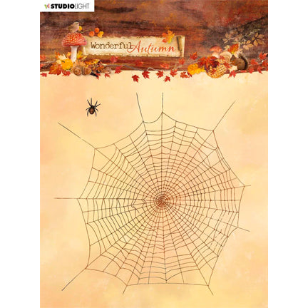 Wonderful Autumn Spider and Web 6