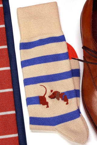 Striped dachshund socks