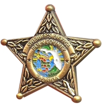 Load image into Gallery viewer, Polk County Florida Deputy Sheriff Lapel Pin Grady Judd BFP-013 P-187B