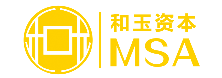 msi capital