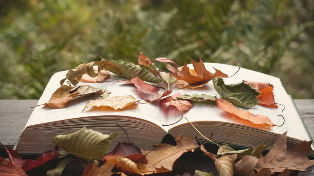 Every Story Matters - Leaves On Top Of An Open Book