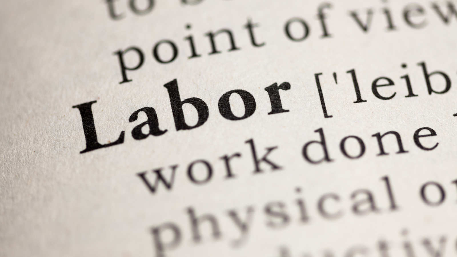 Defining Labor | EndlessPens