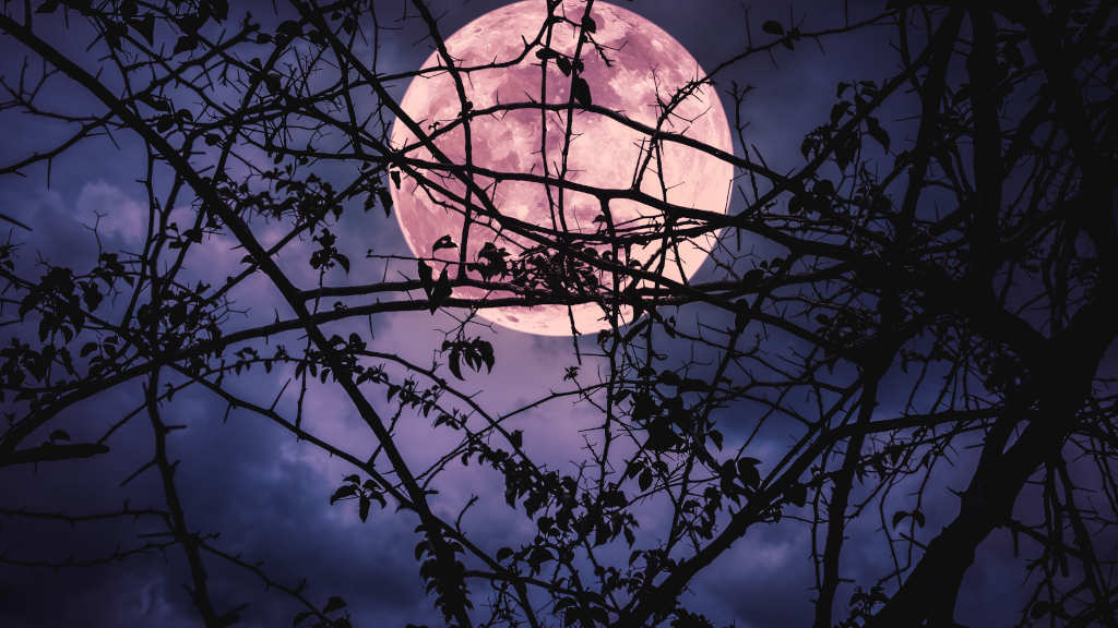 Lush Gothic and Dark Wonders : EndlessPens Celebrates Writers, Part III - Moonlight