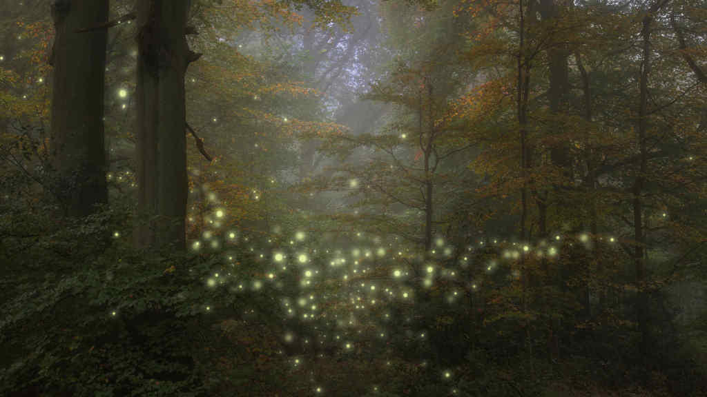Never Ending Stories: EndlessPens Celebrates Writers, Part VI - Fireflies In The Woods