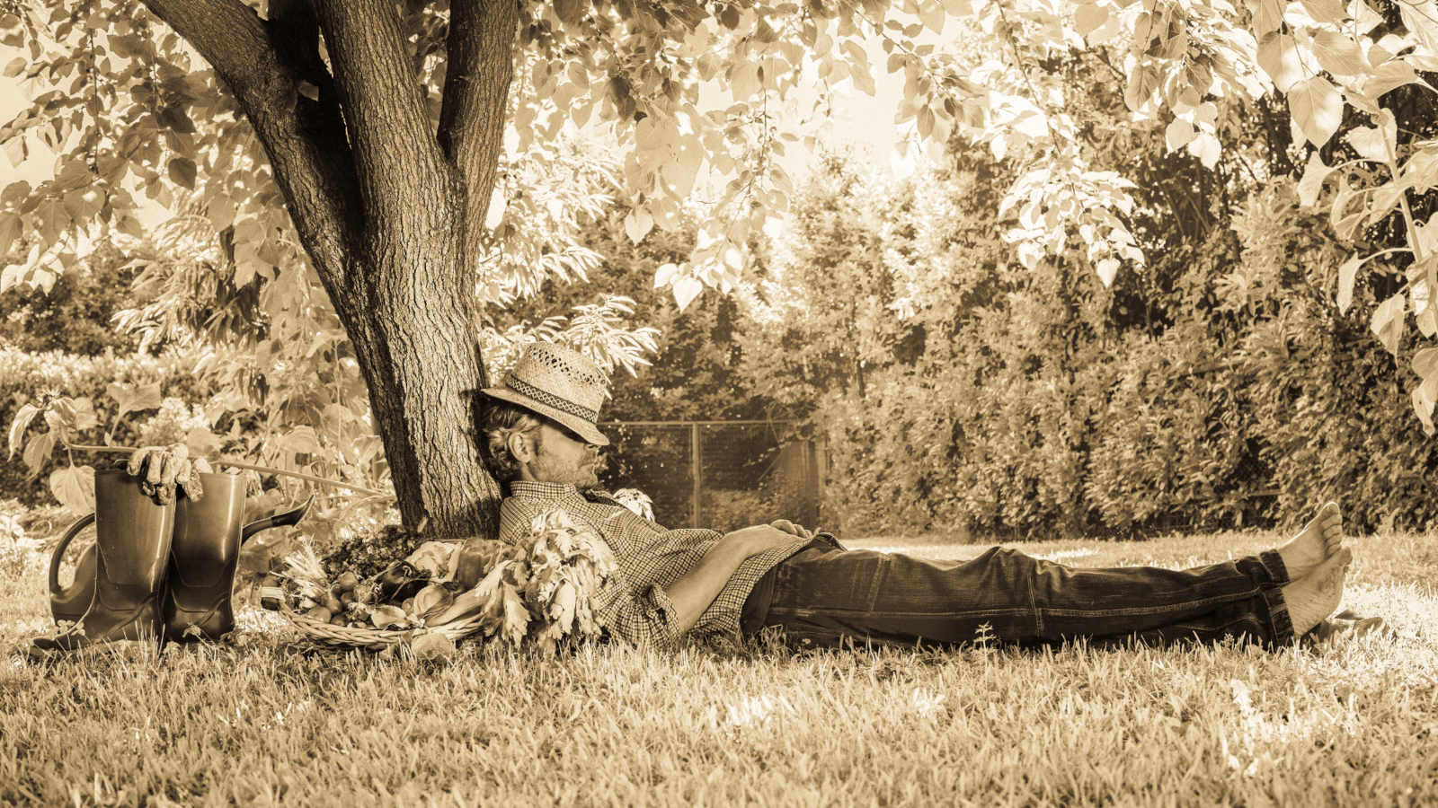 A person resting under a tree shade