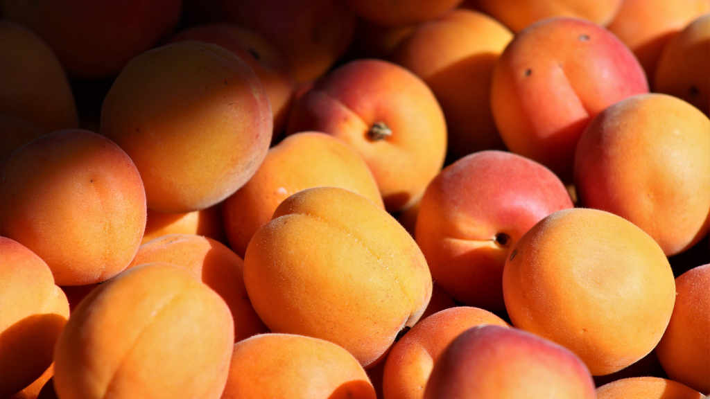 Nurturing Tenderness with 2024's Color of the Year - A Group of Peach Fruits