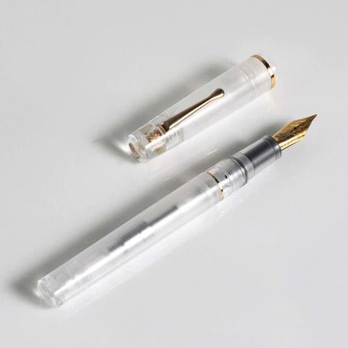 Fountain Pen Brands: A Comprehensive List from A to Z - Fine Writing International Demonstrator Fountain Pen