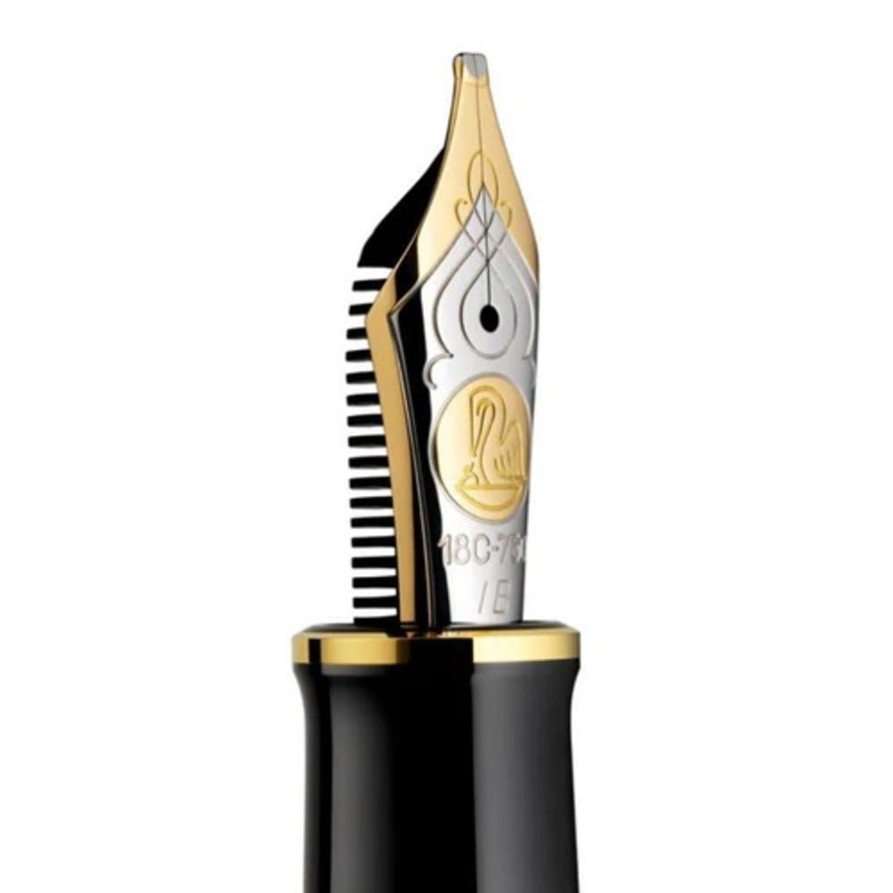 Fountain Pen Nib Types: A Comprehensive List - Pelikan M800/M900 Two-Tone Fountain Pen Nib (18K)