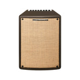 Ibanez T80II-E Troubadour II 80W Acoustic Guitar Combo Amplifier, Brown