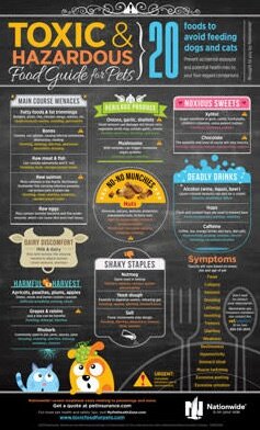 20 Toxic & Hazardous Food Guide for Pets