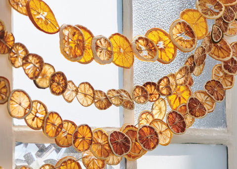 Dried citrus garland hanging.