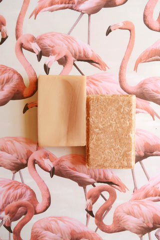 Shampoo & conditioner bars in front of photo of flamingos