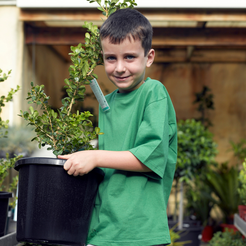 Enfant plante responsabilité jardinage