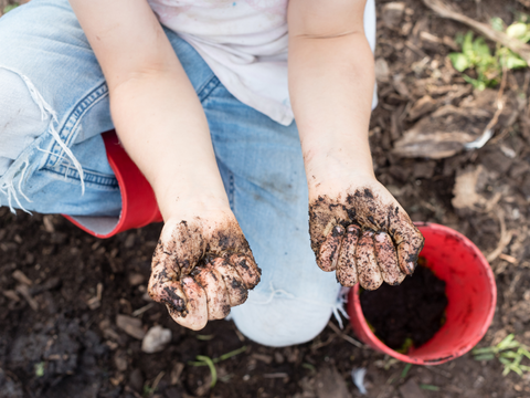 jardinage enfant terre travail manuel