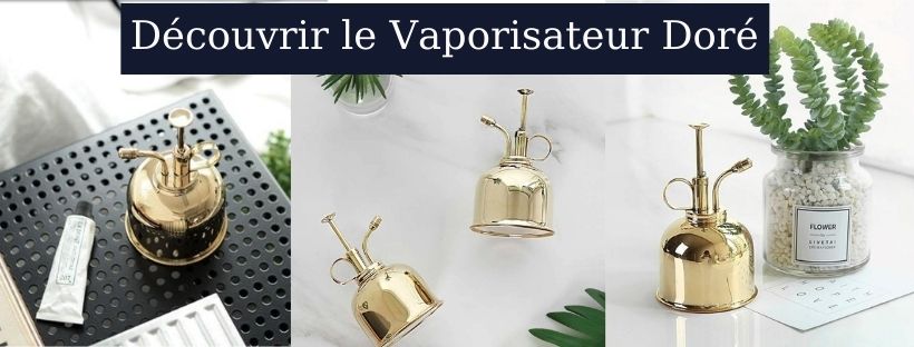 Vaporisateur plante