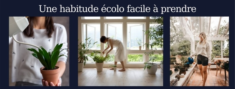 Comment arroser ses plantes d'intérieur ? - Marie Claire