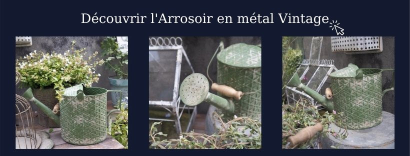 Arrosoir en métal vintage