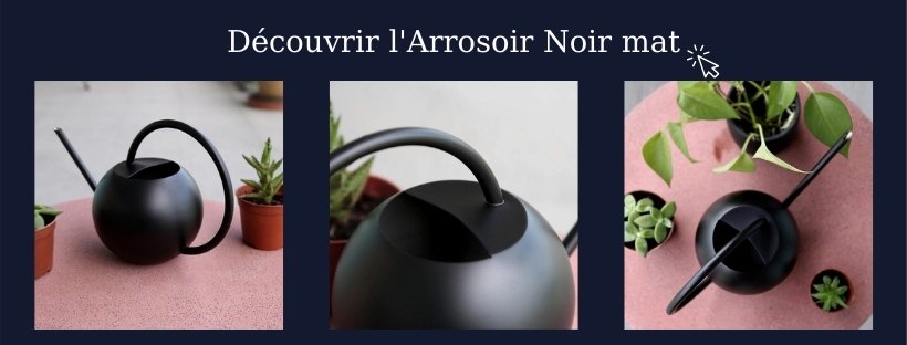 arrosoir noir mat