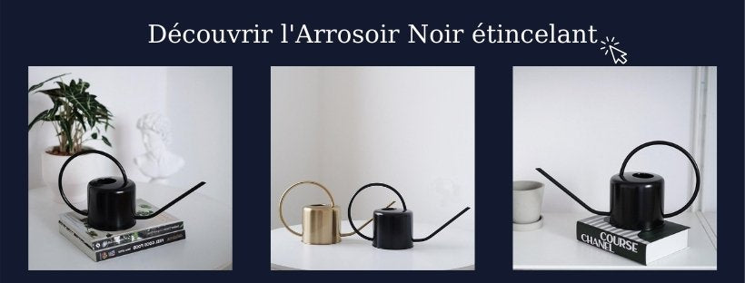 Arrosoir Noir