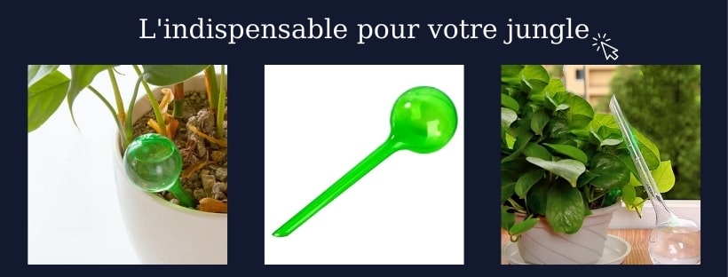 Lot de 4 globes d'arrosage pour plantes, système d'arrosage pour