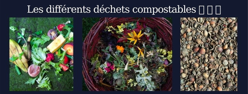 Déchets compostables