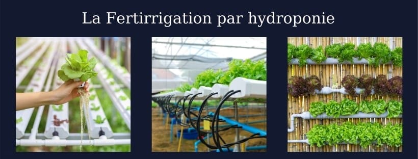 Fertirrigation hydroponie