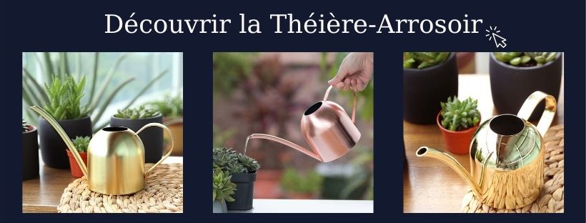 théière arrosoir