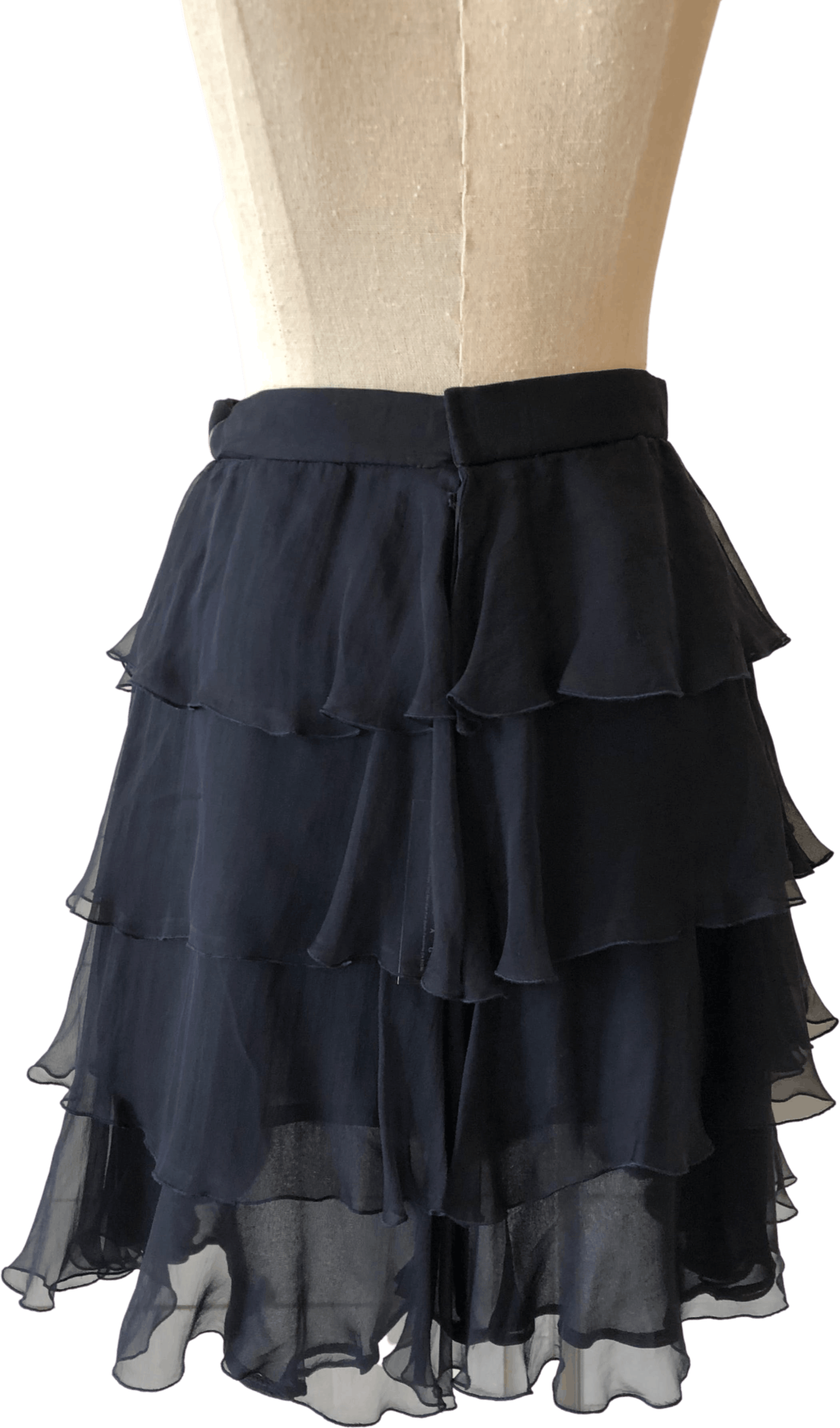 Vintage Black Sheer Ruffled Skirt with Lining by Valentino | Shop THRILLING