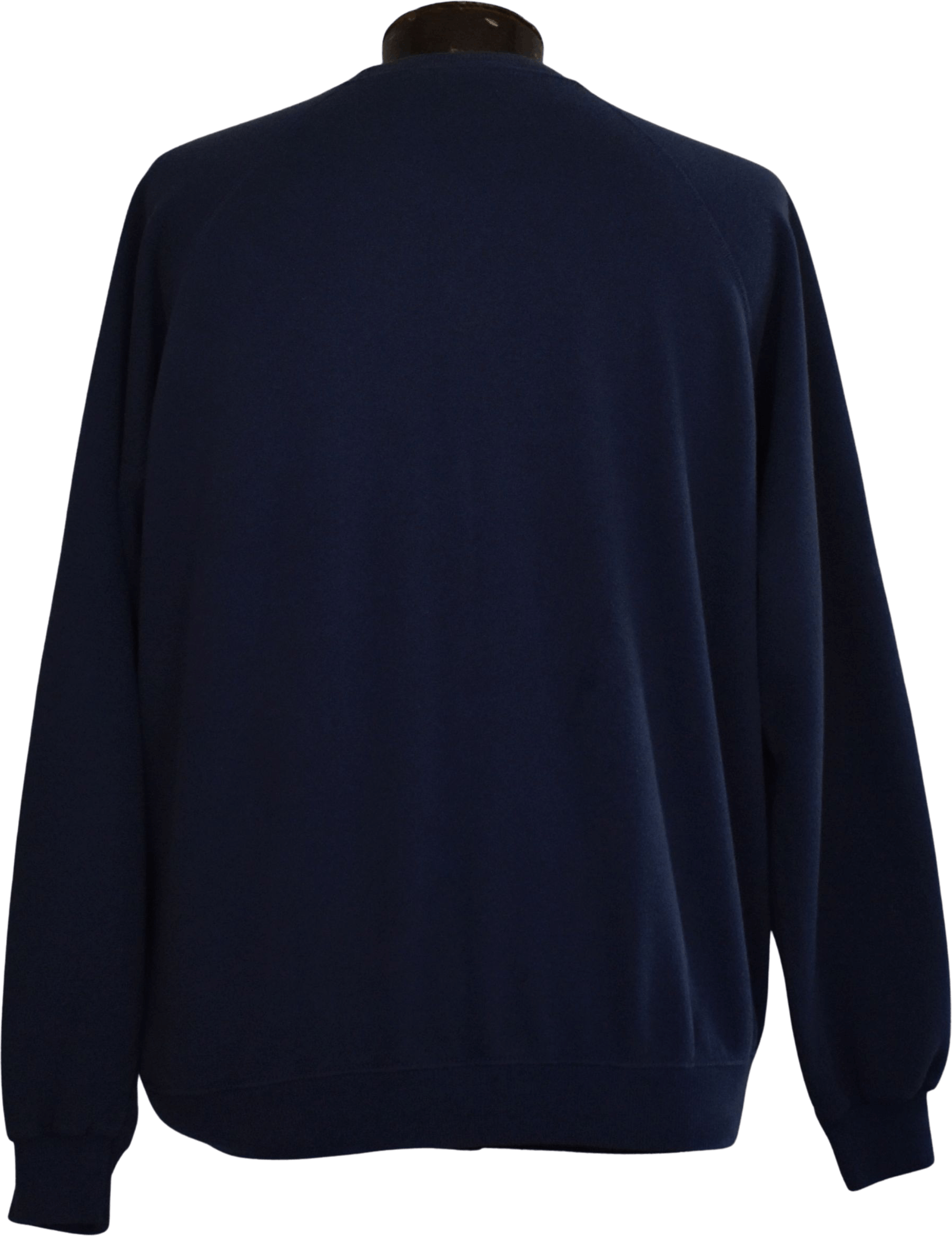 Vintage 80's Eagles Are Forever Raglan Sweatshirt by Hanes | Shop THRILLING