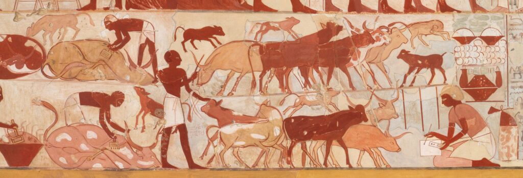 An ancient Egyptian painting from the tomb of Nebamun depicting cattle branding.