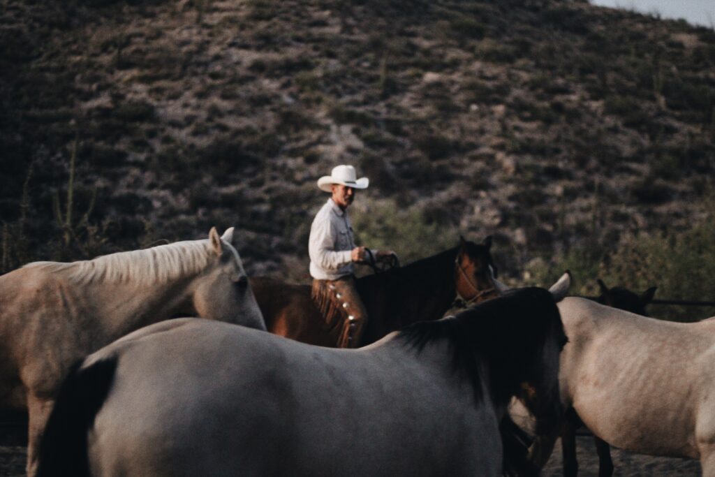 David riding with his horses at home in his track-system in Arizona