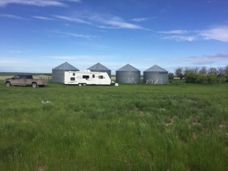 Colter’s new home on the Canadian plains