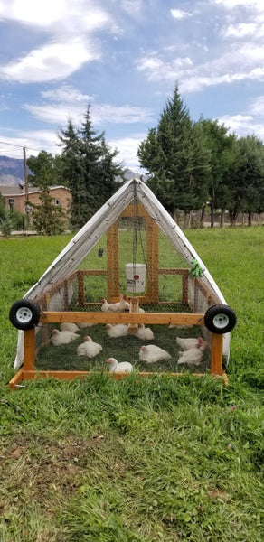 A “chicken tractor.”