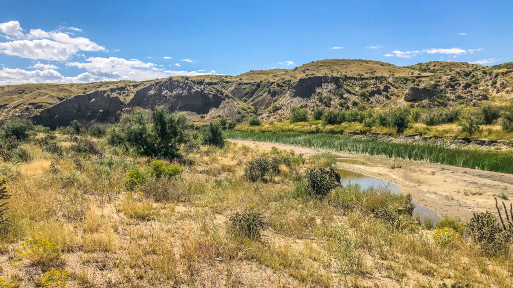 The “beach” and eroded cliff face along Chico Creek. Photo by Shane Morrison.