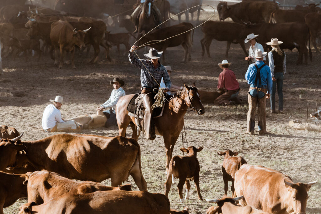 Chico Apprentice Brandon, roping at a branding in the summer of 2020. Photo by Brennan Cira.