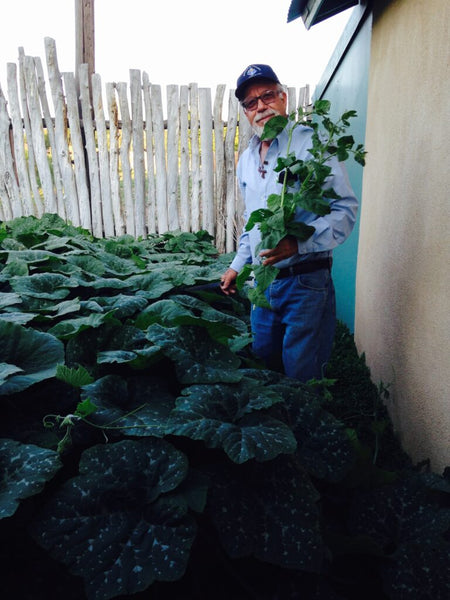 António Garcia in his pumpkin patch