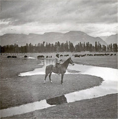 Michel Pablo, a descendant of the Blackfoot Nation, on his buffalo ranch in Montana. Courtesy of Montana Historical Society.