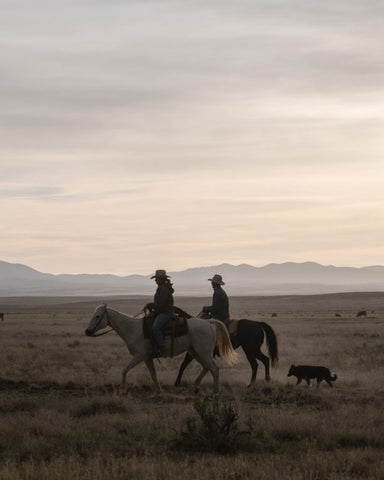 Nick, Phoebe, and Lizard check heifers at the MP. April 2017.