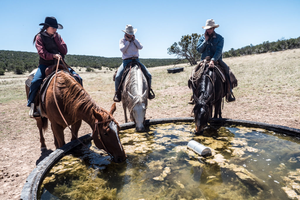 Nick and his interns Mogy and Phoebe pause at a drinker after moving cows at the MP.