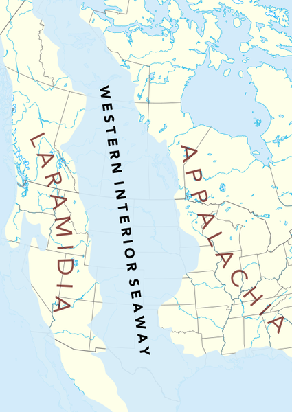 The extent of the Western Interior Seaway 95 million years ago, overlaid on the modern North American continent. Both island continents Laramidia and Appalachia are shown. Note that the positions of the continents, lakes, rivers, and shores were not the same as today. Illustration by Andrew Z Colvin.