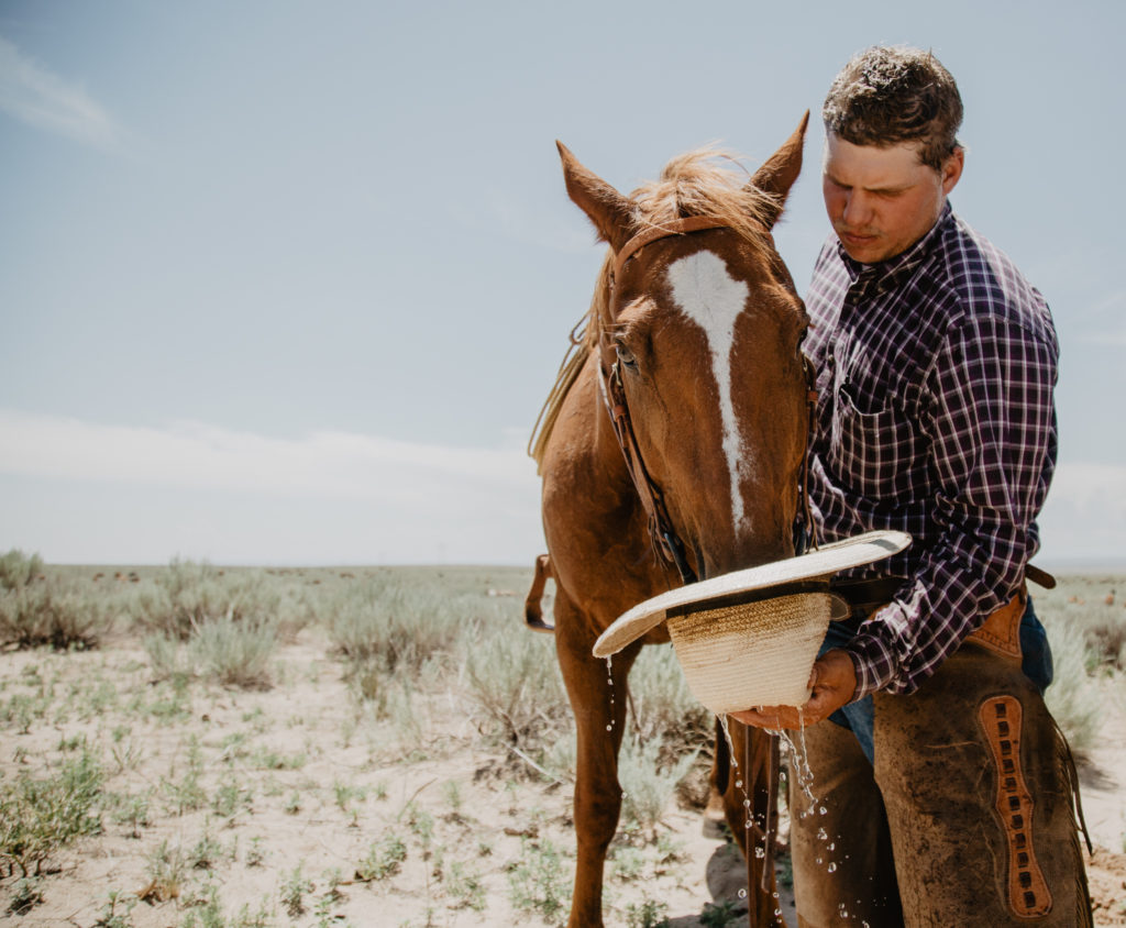 Tate gives Tractor a drink out of his hat after moving cattle on July 24, 2018.