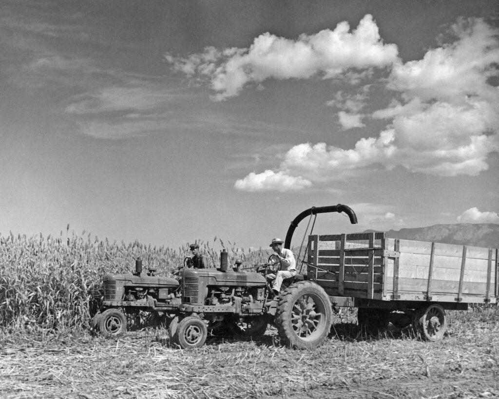 Los Poblanos corn harvester, circa 1930. Photo courtesy of Los Poblanos.