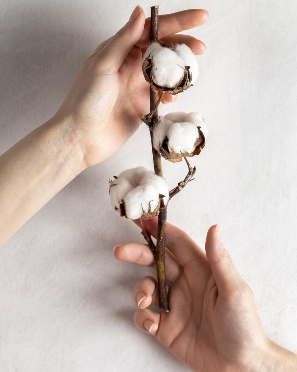 Young woman carefully cradling organic cotton