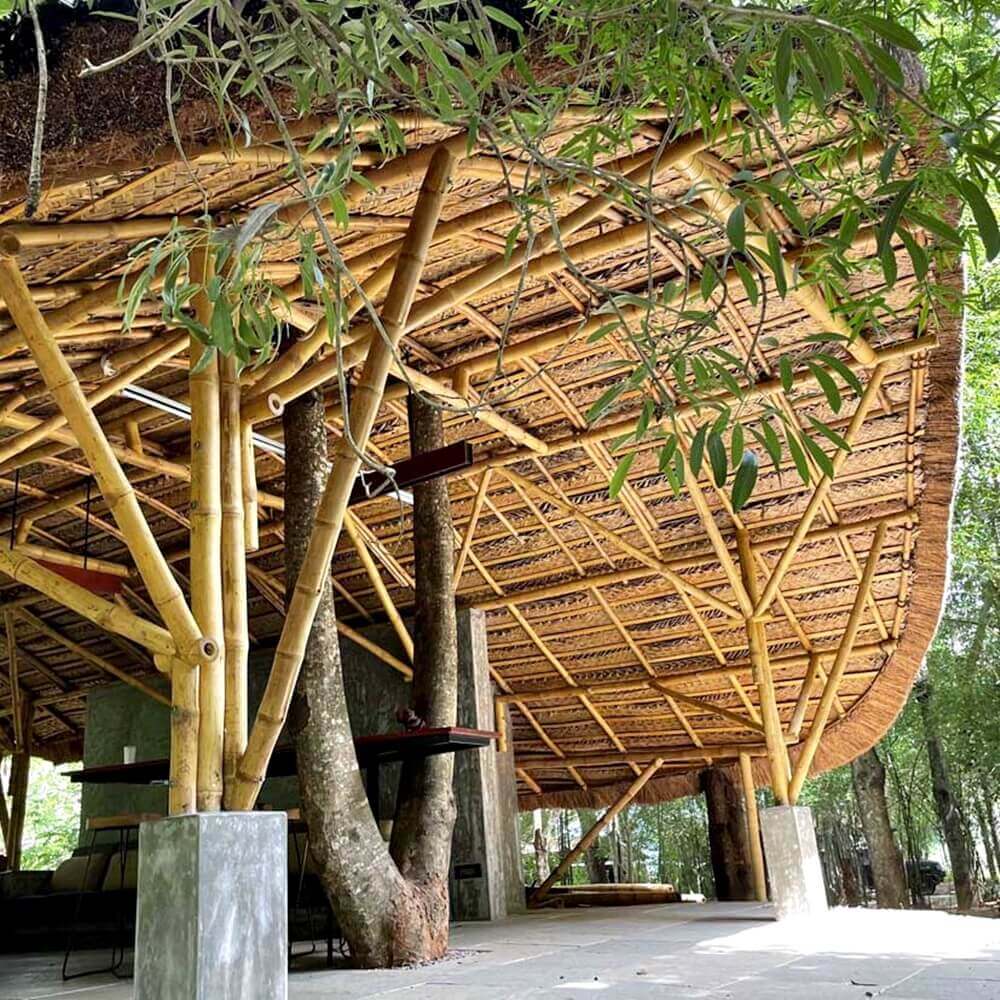 a bamboo house with a thatched roof, surrounded by lush greenery