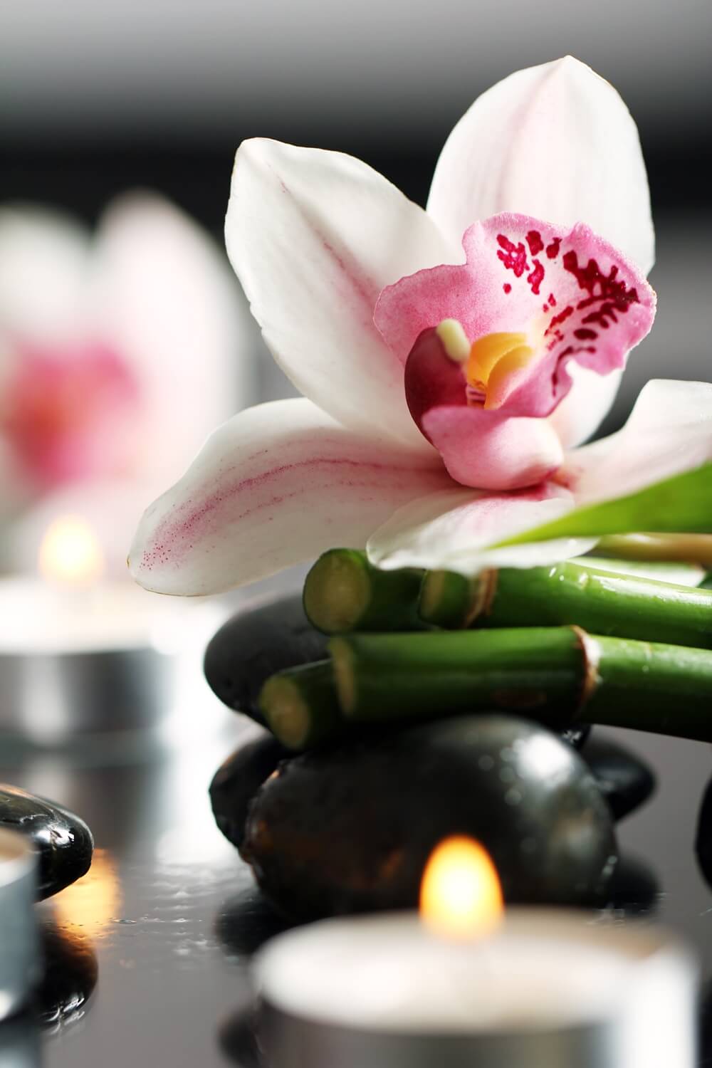 Smooth massage stones and delicate flowers rest on a warm wooden table, creating a tranquil spa atmosphere