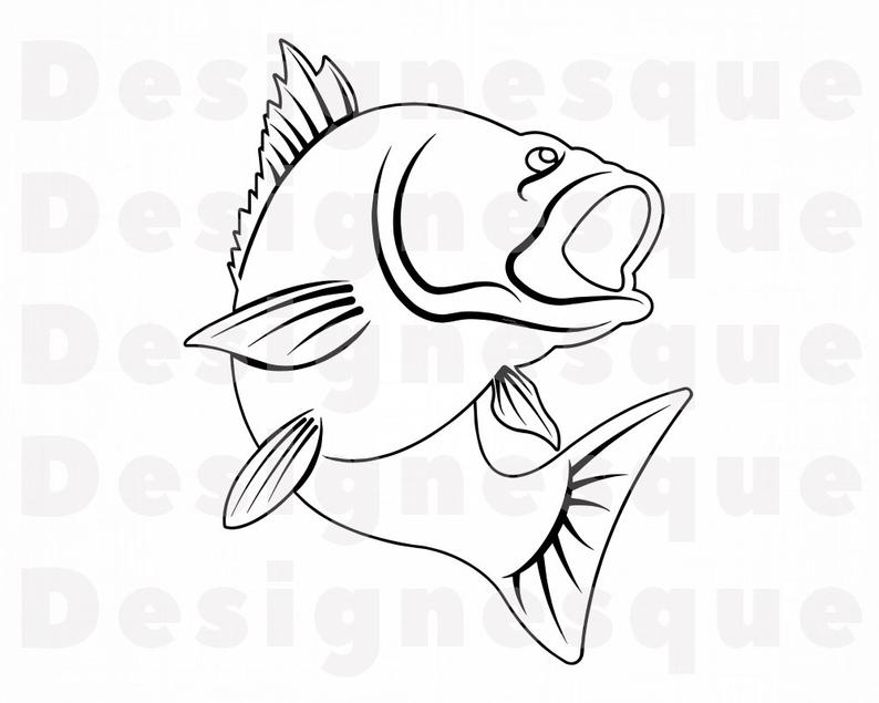 Download Outline Fish Clipart Png Rectangle Circle