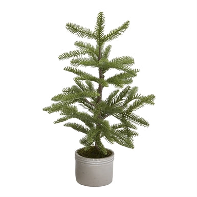 Woodland Pine Tree in Cement Pot