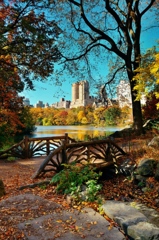ニューヨーク秋のセントラルパーク