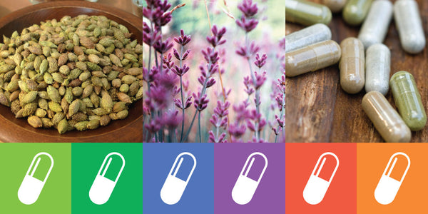 Herbalogic capsules expand the herbal supplement company's product lineup.